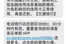 新疆为什么选择专业追讨公司来处理您的债务纠纷？